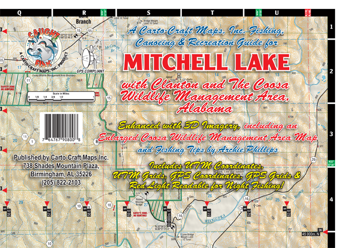 Lake-Mitchell.png